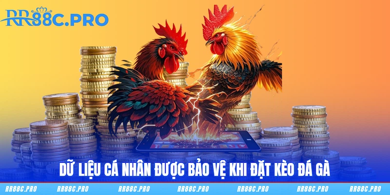 Dữ liệu cá nhân được bảo vệ khi đặt kèo Đá gà