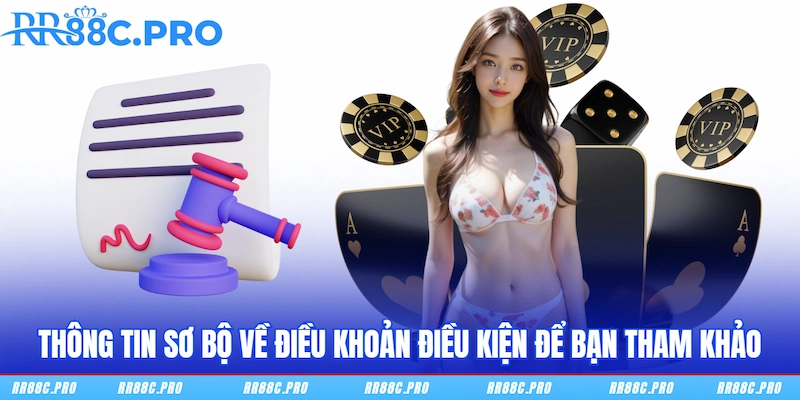 Thông tin sơ bộ về Điều khoản điều kiện để bạn tham khảo