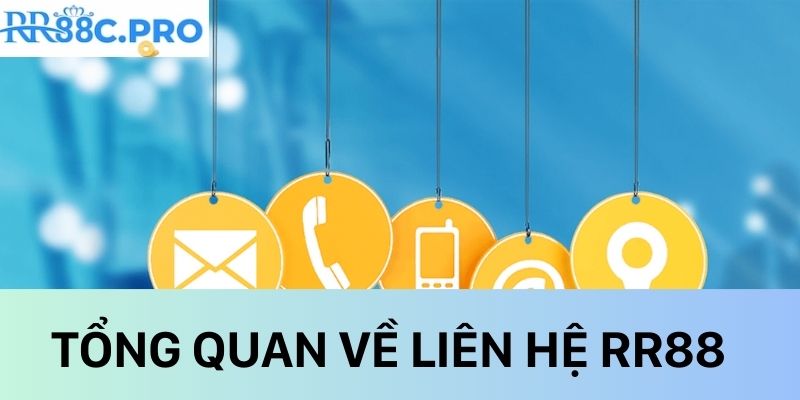 Tổng quan liên hệ RR88